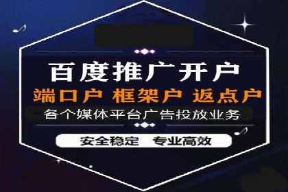 某某sem推广公司实战案例：精准投放提升转化率